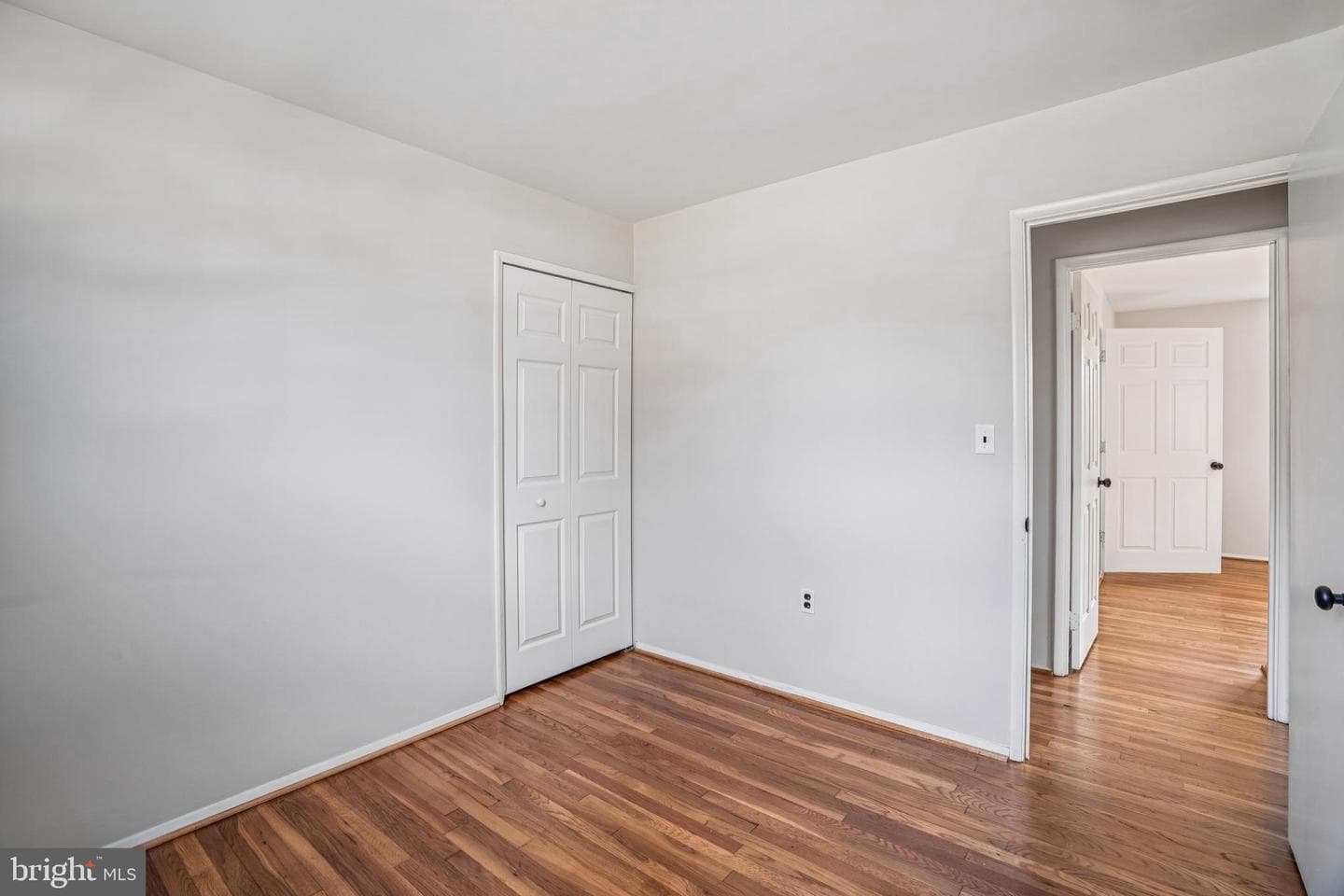 3381 Horsehead S photo 14