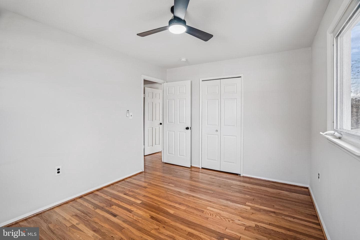 3381 Horsehead S photo 18