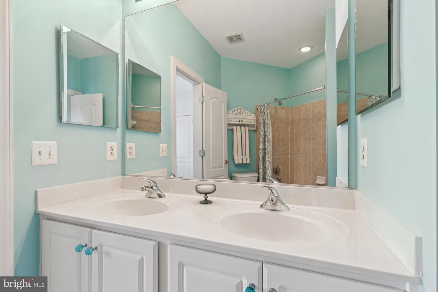 702 Pearson Point Place photo 61