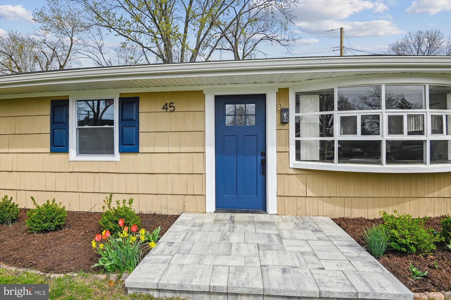 45 Chester Circle photo 62