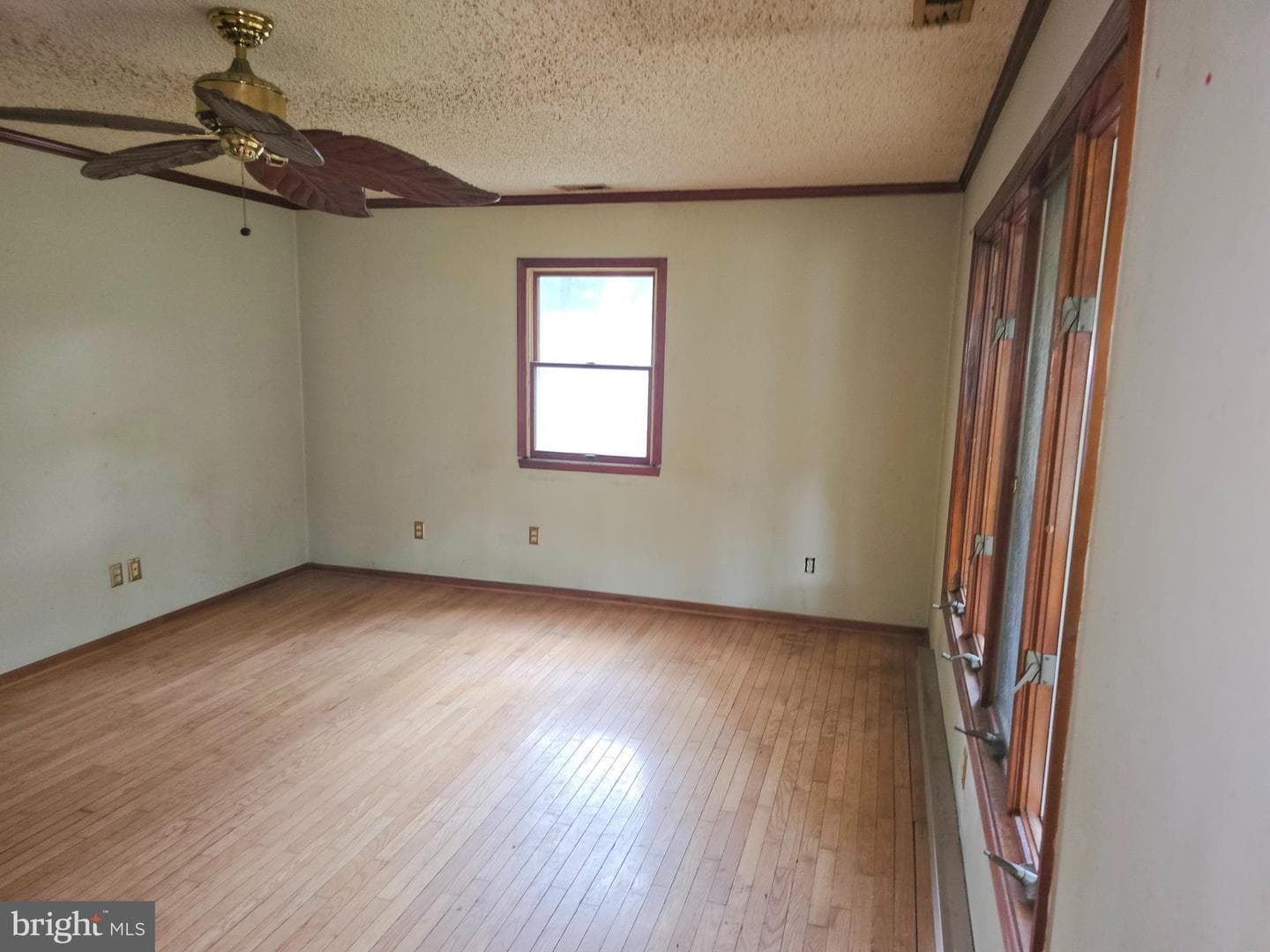 1123 Oak View Drive photo 14