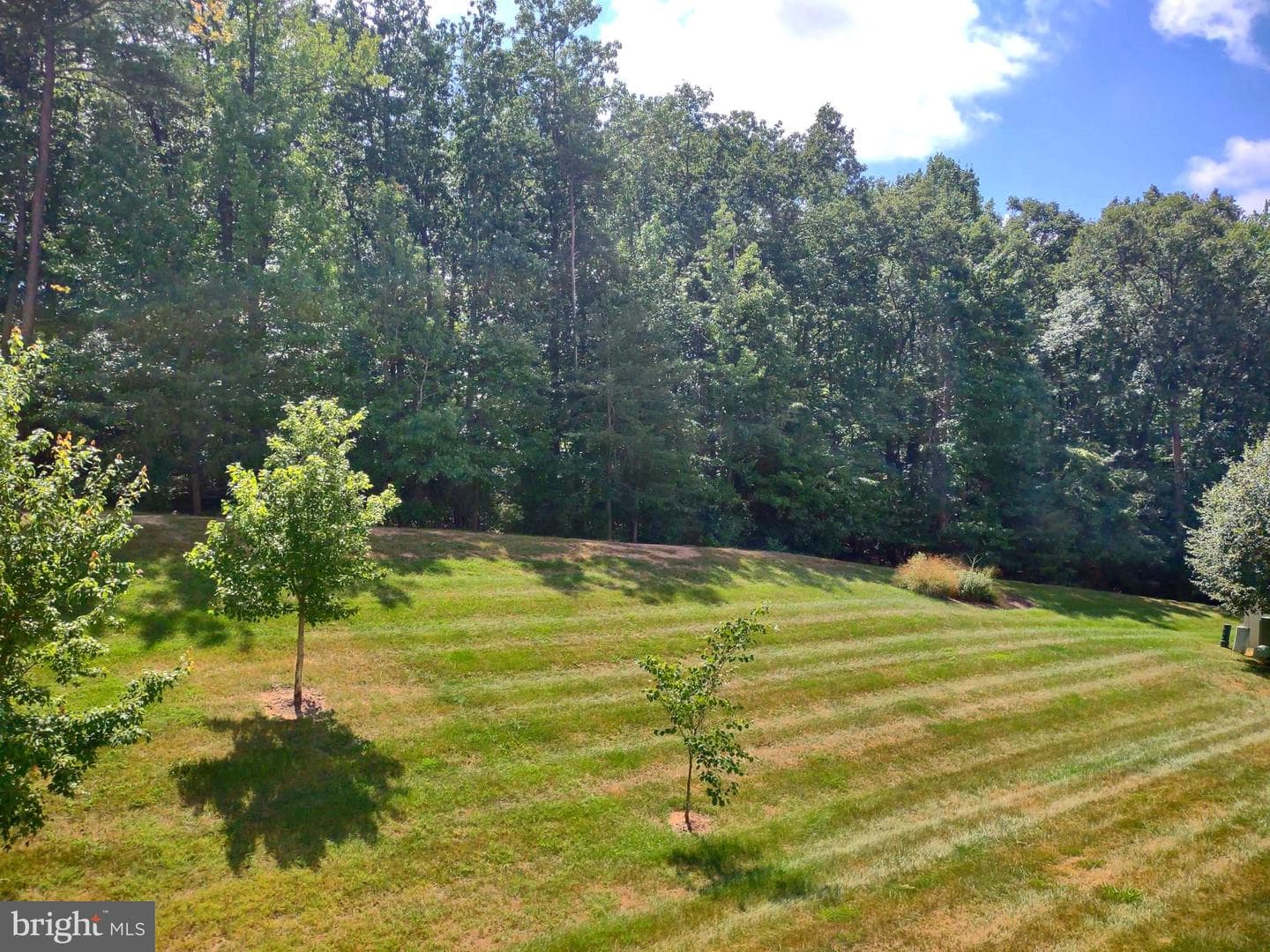 2494 Amber Orchard Court E #202 photo 11