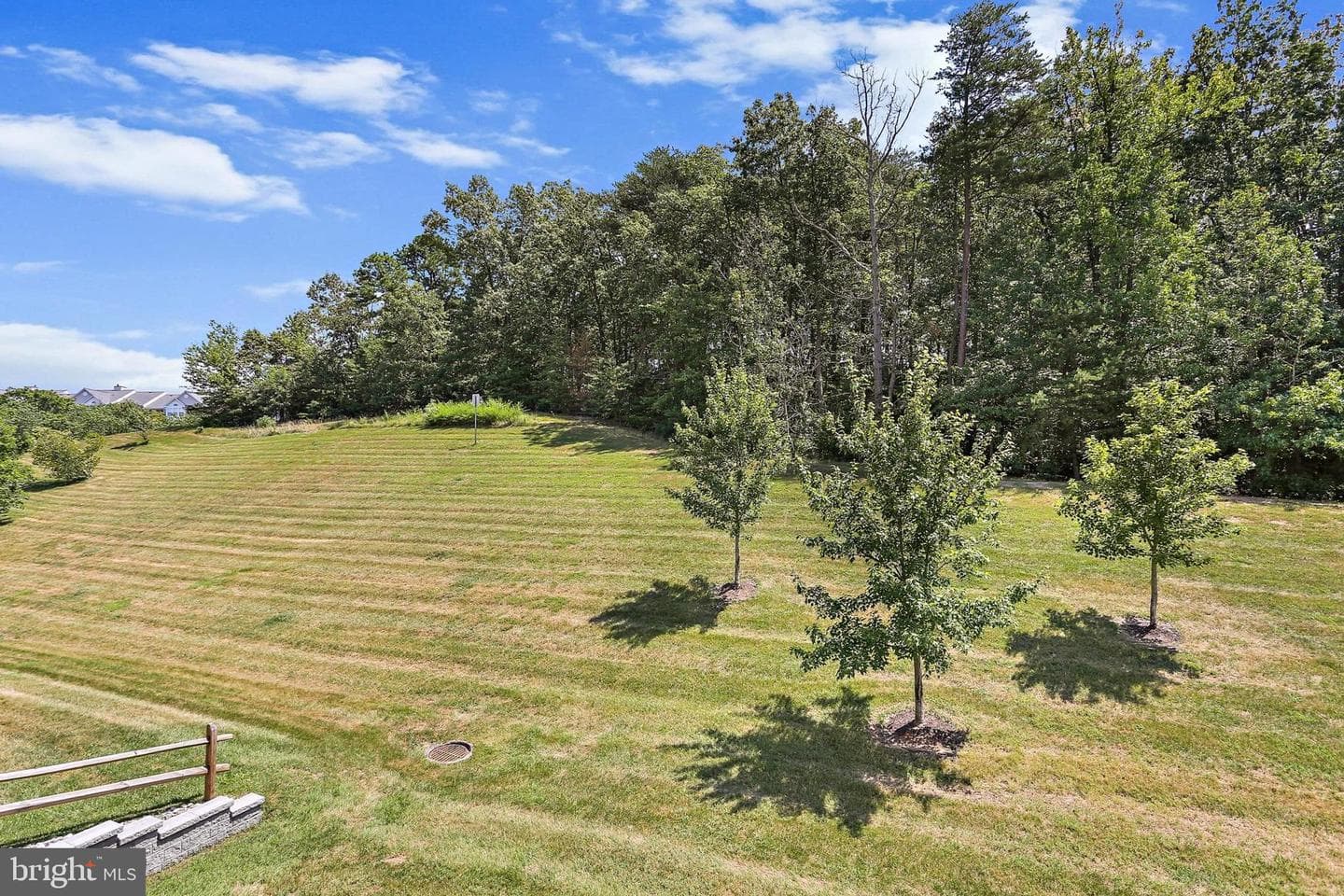 2494 Amber Orchard Court E #202 photo 9