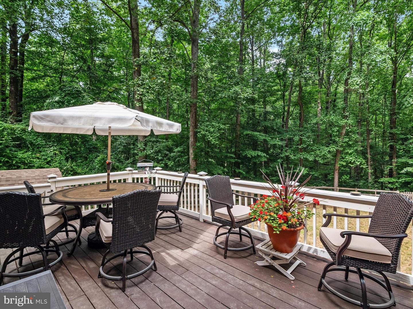 966 Coachway photo 43
