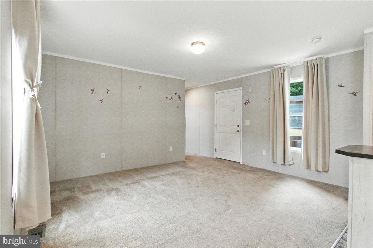 99 Mary Lou Drive photo 7