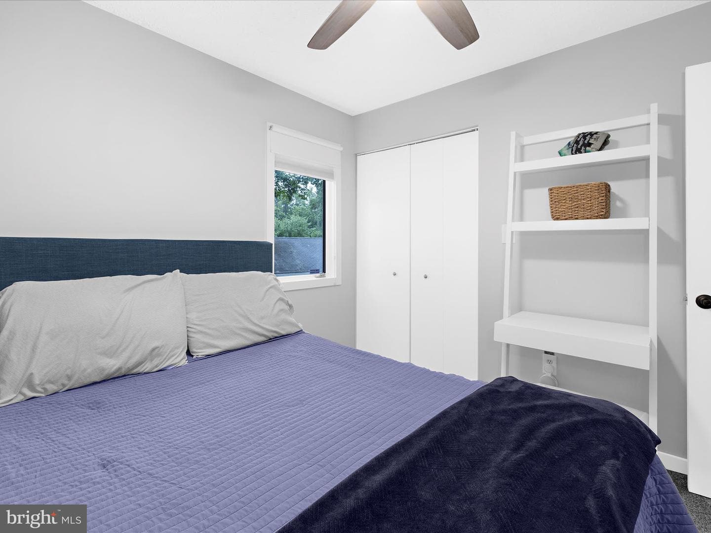 253 Cape Saint John Road photo 16