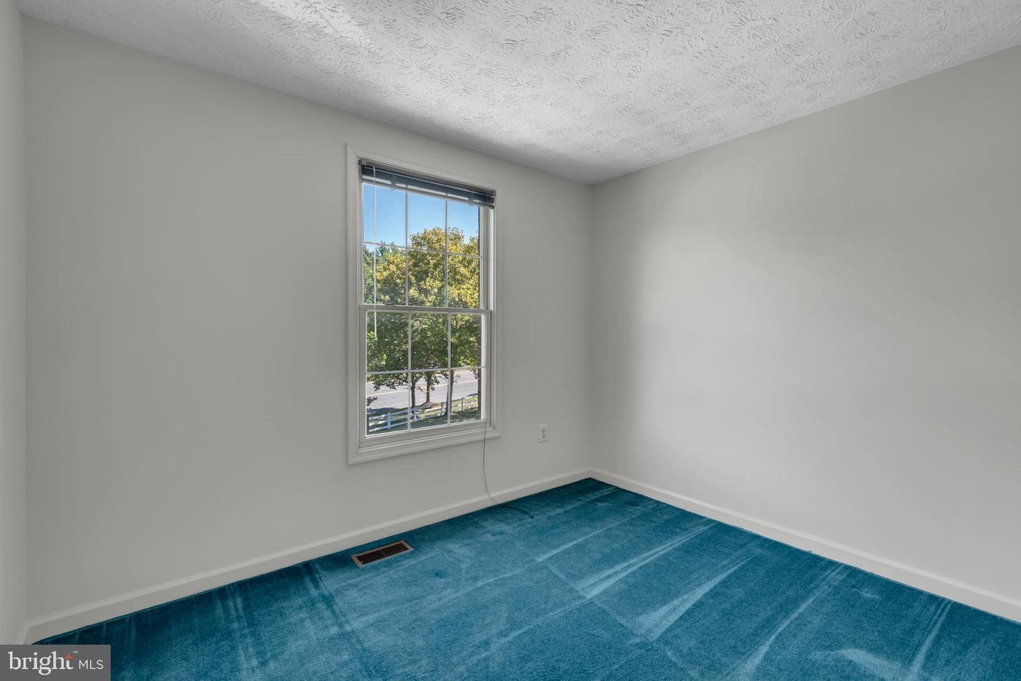 2407 Warm Spring Way photo 21