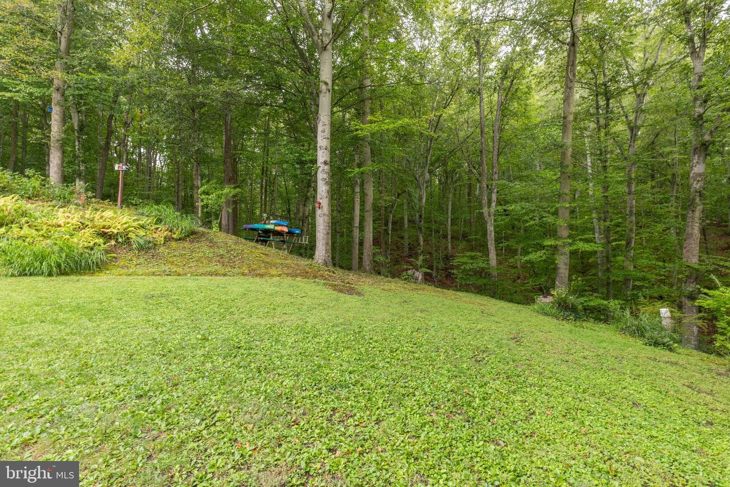 2114 Hallmark Drive photo 54