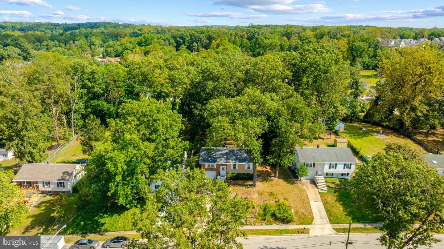 7516 Montevideo Court photo 5