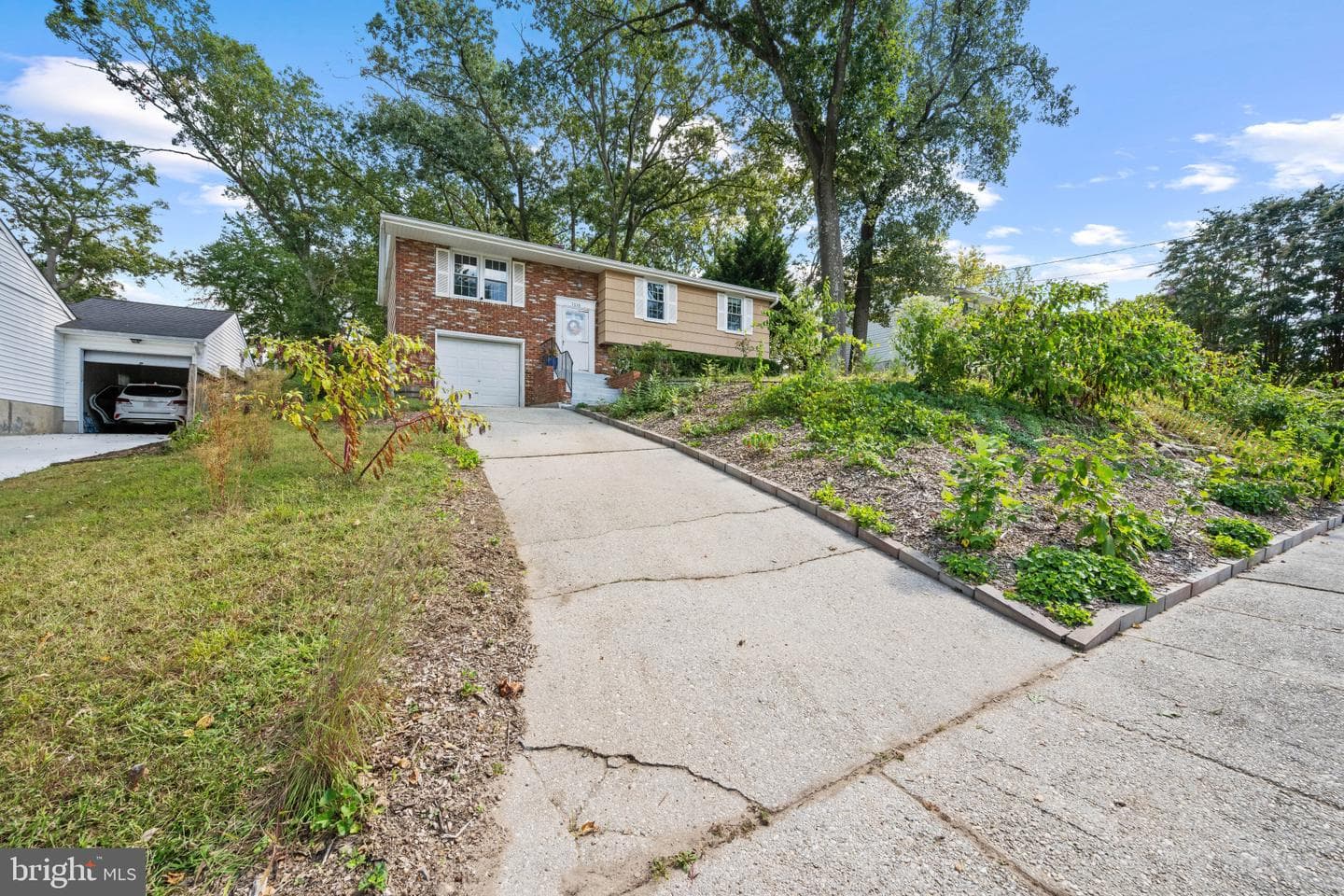 7516 Montevideo Court photo 7