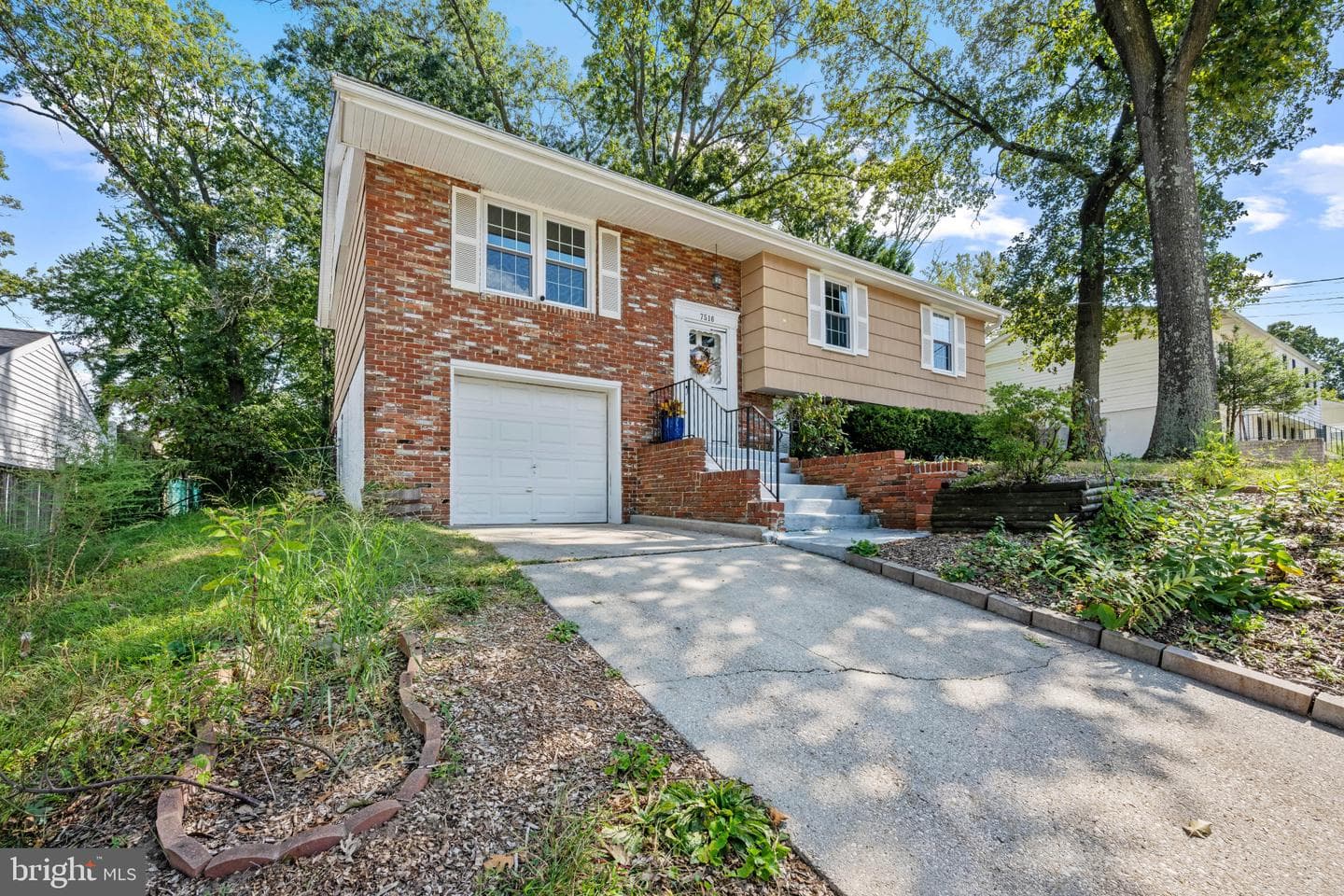7516 Montevideo Court photo 8