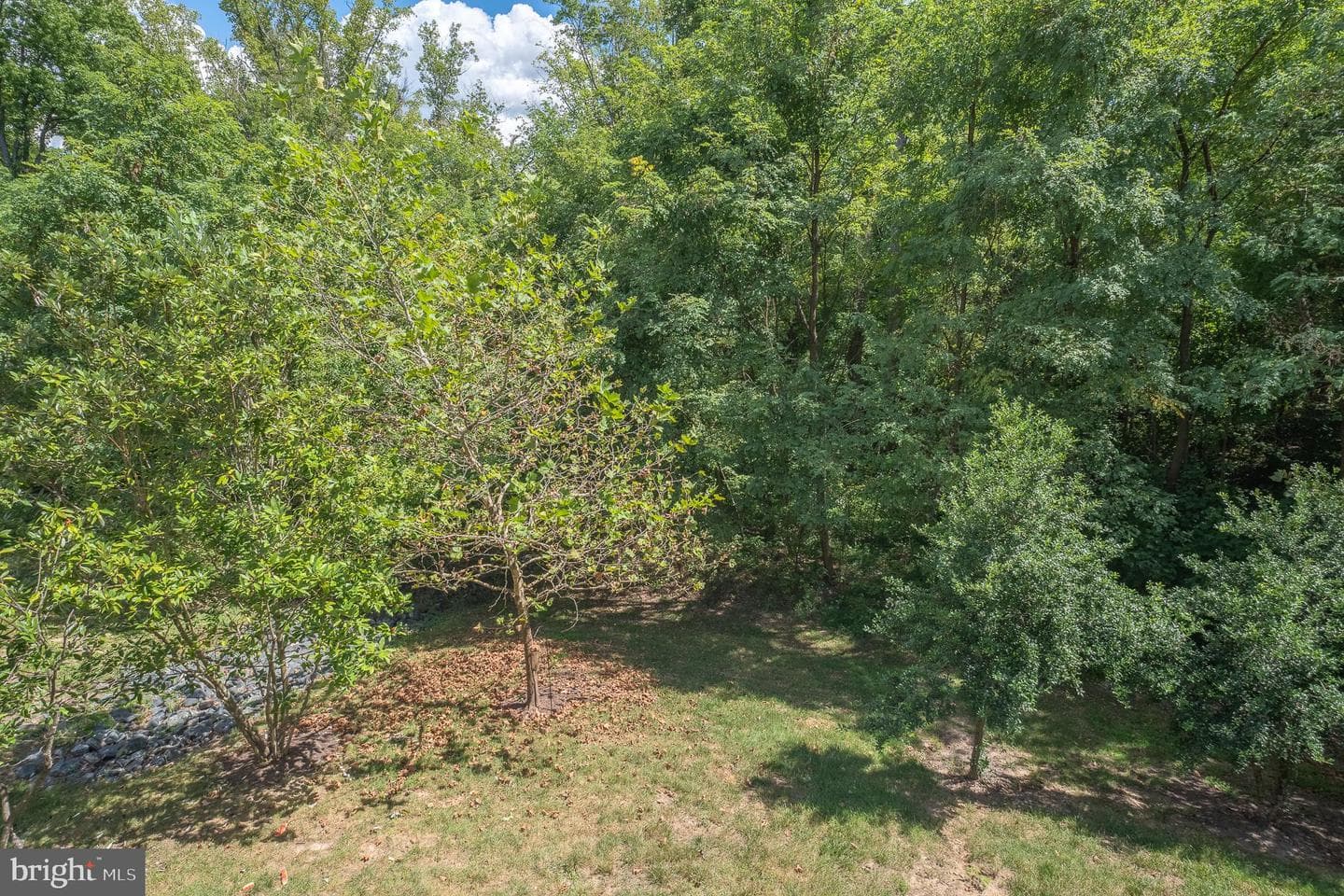 7215 Winding Hills Drive photo 46