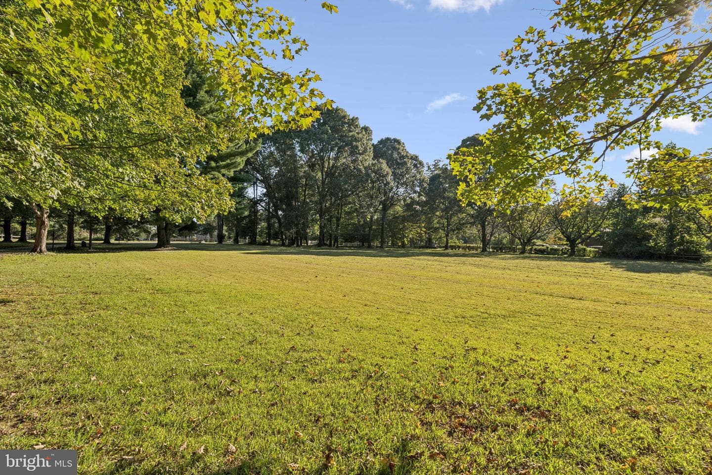 1677 Pleasant Plains Road photo 4
