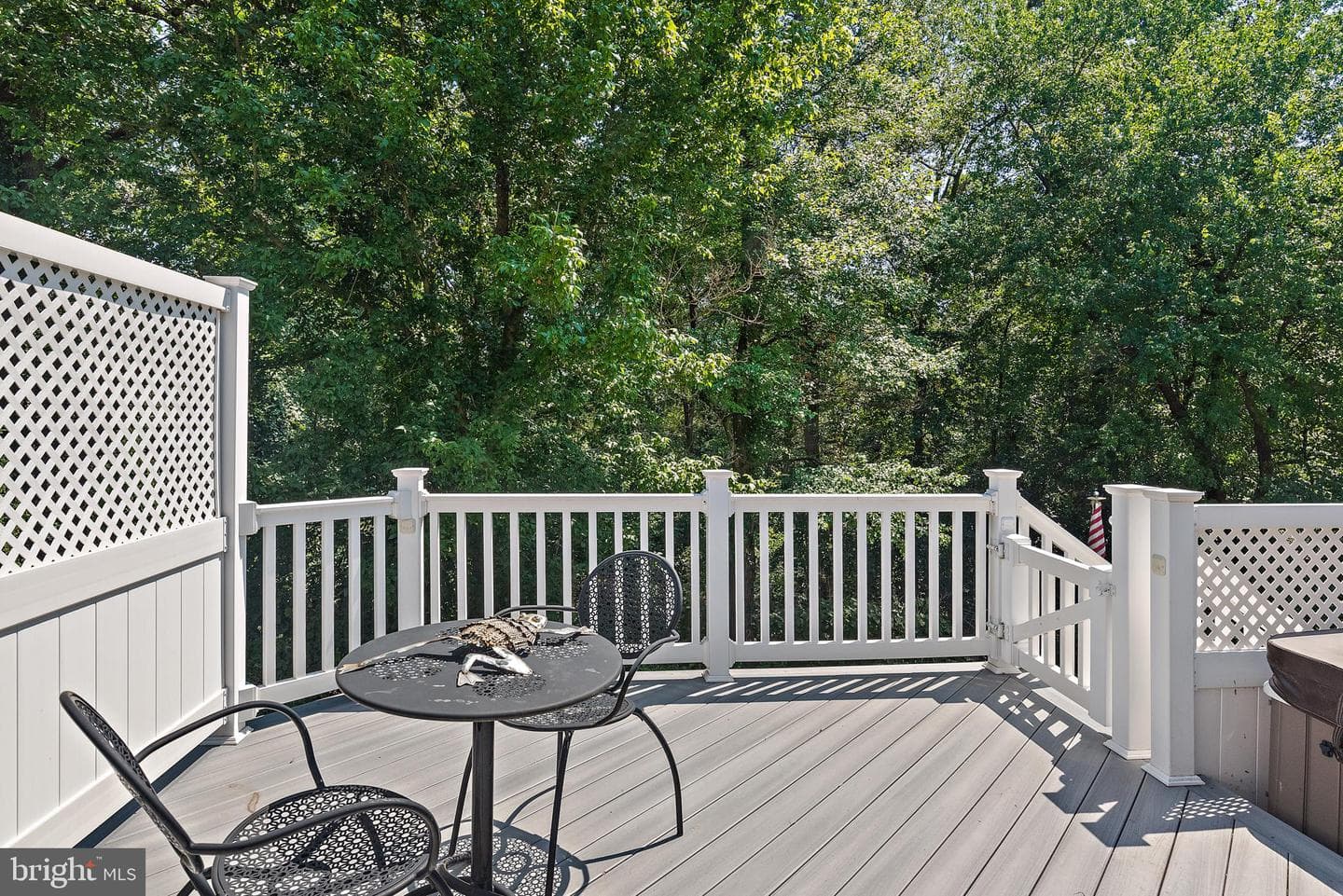 539 Donner Way photo 43