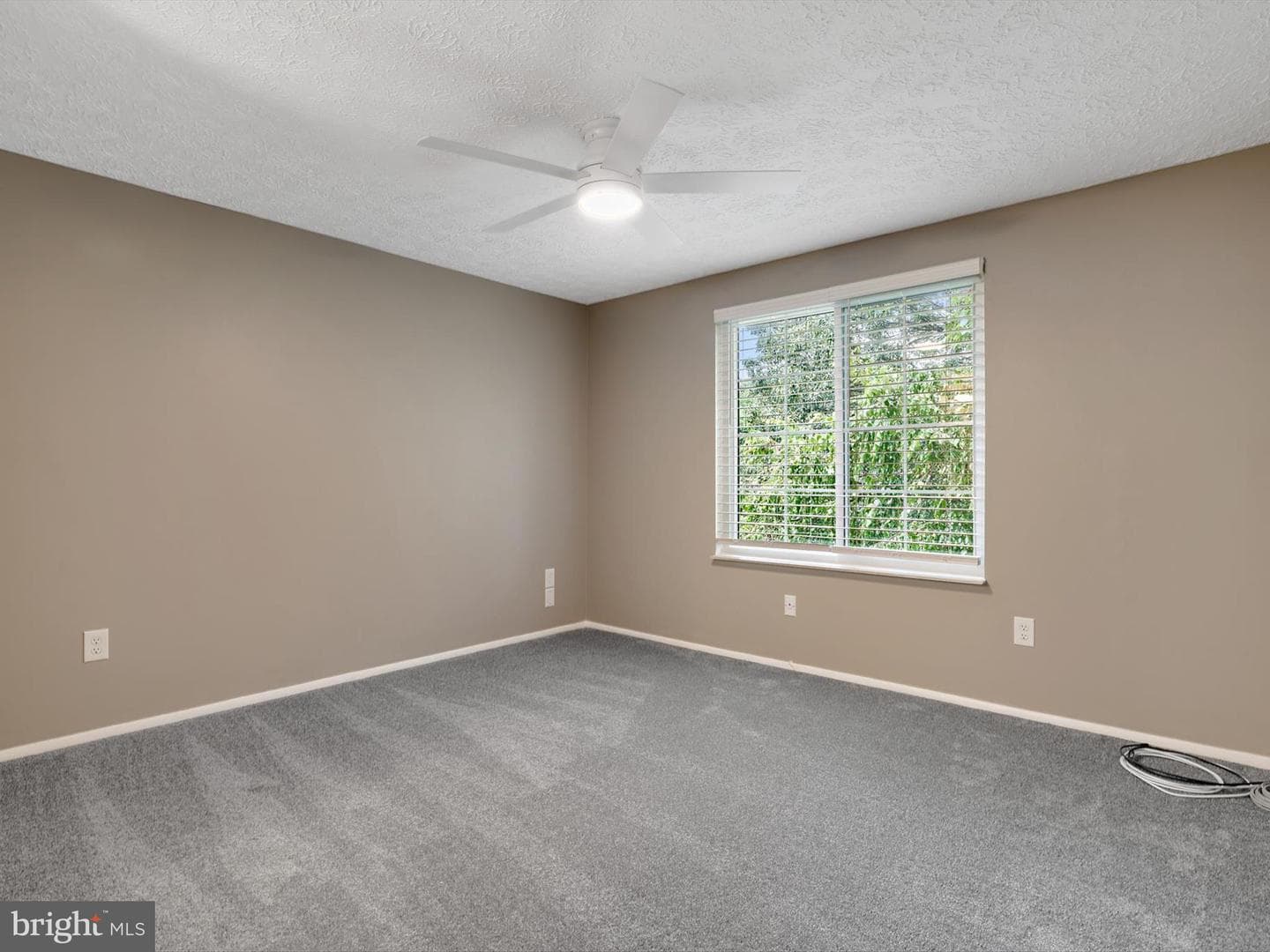 8048 Abbey Court #m photo 14