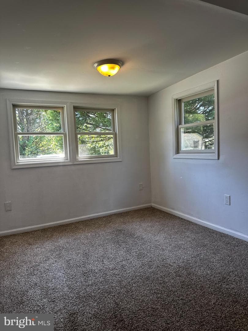 434 Salisbury Road photo 21
