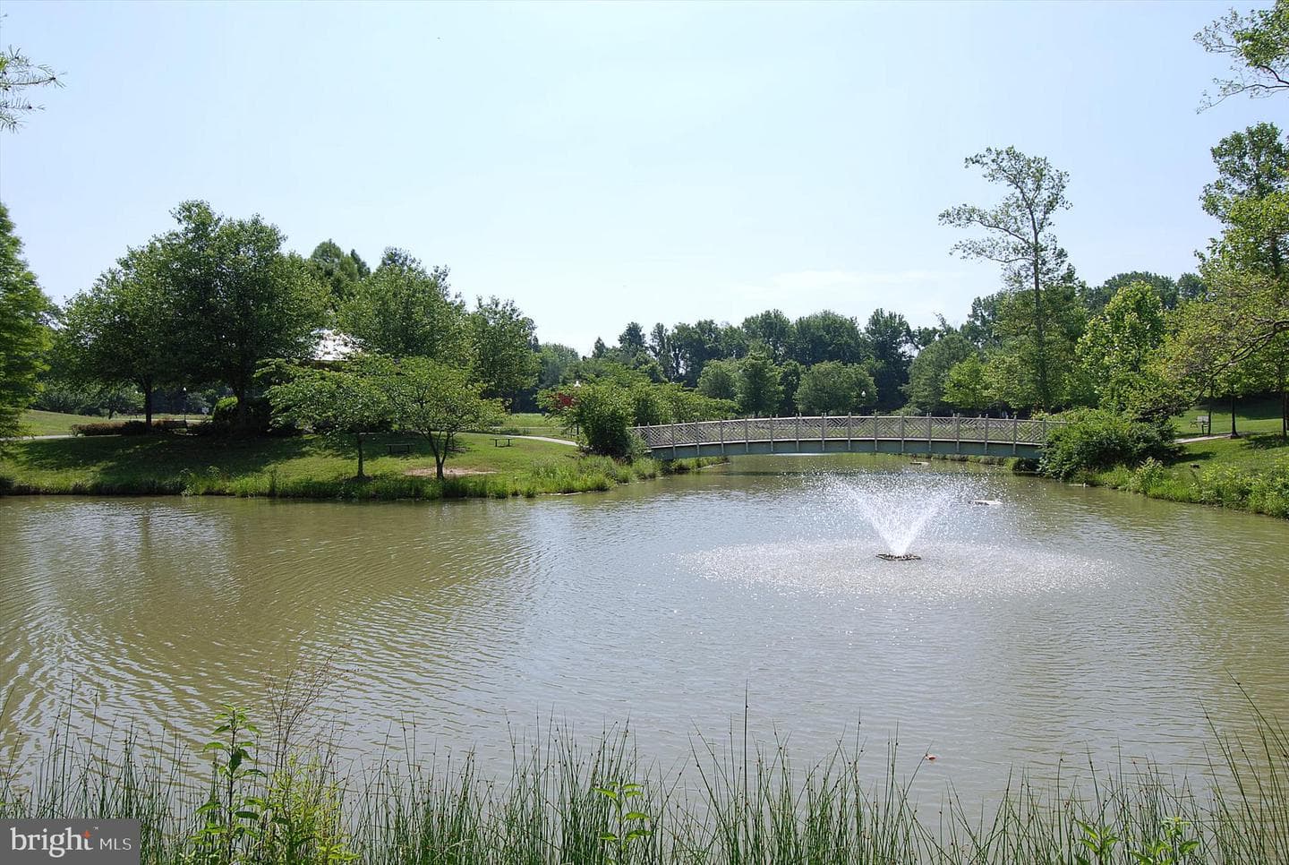 289 Hillsmere Drive photo 48