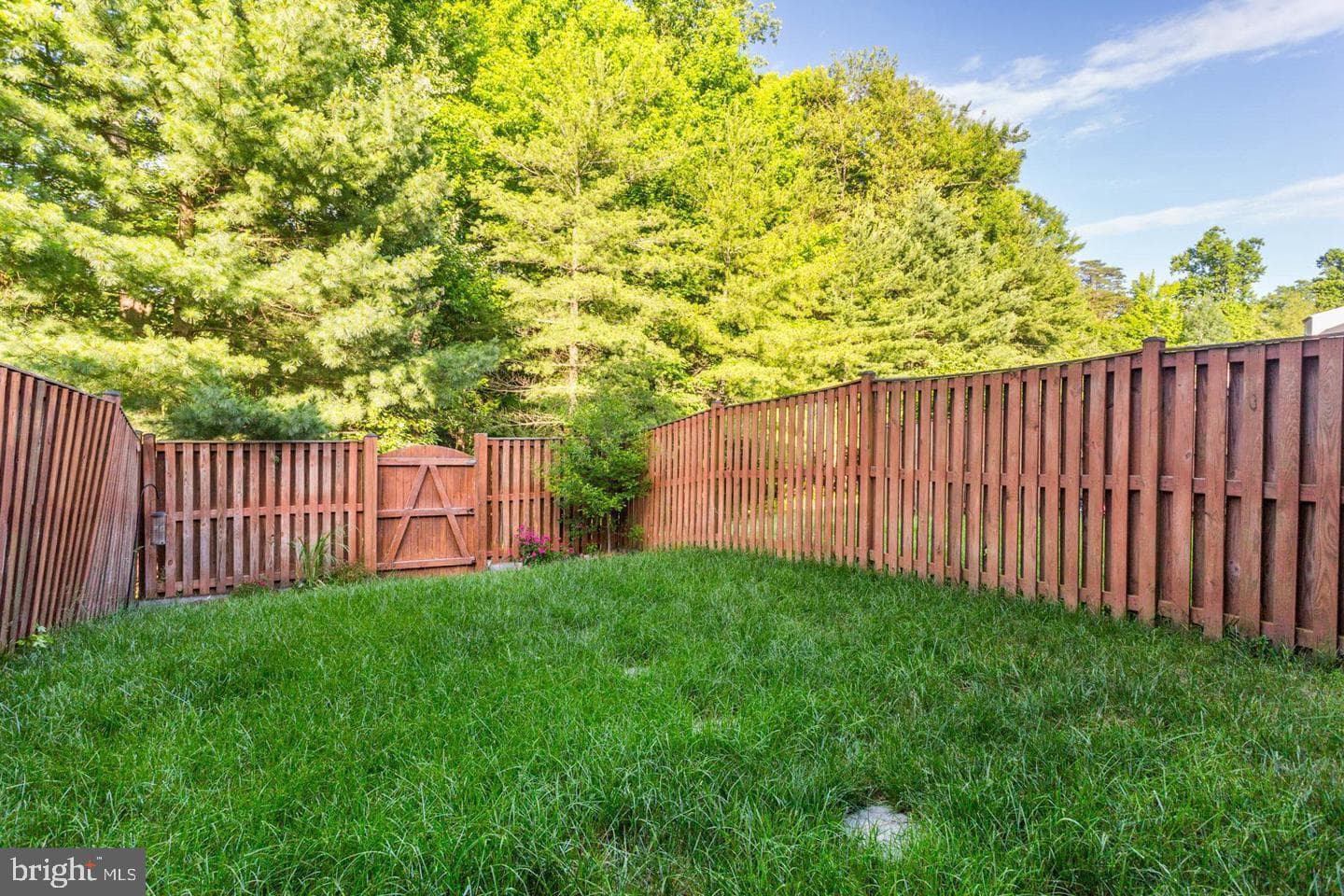 2723 Piscataway Run Drive photo 22
