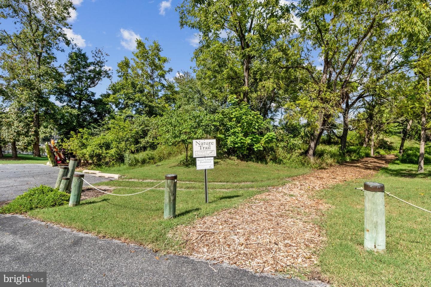 264 Saltgrass Drive photo 58