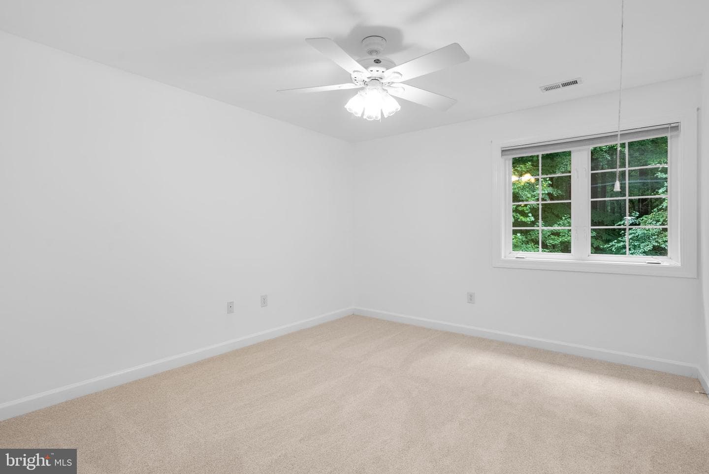 5248 Ferry Branch Lane photo 59