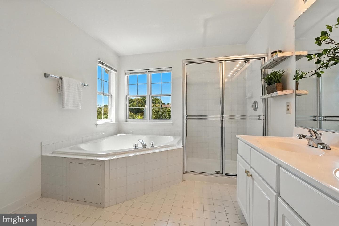3855 Glebe Meadow Way photo 17