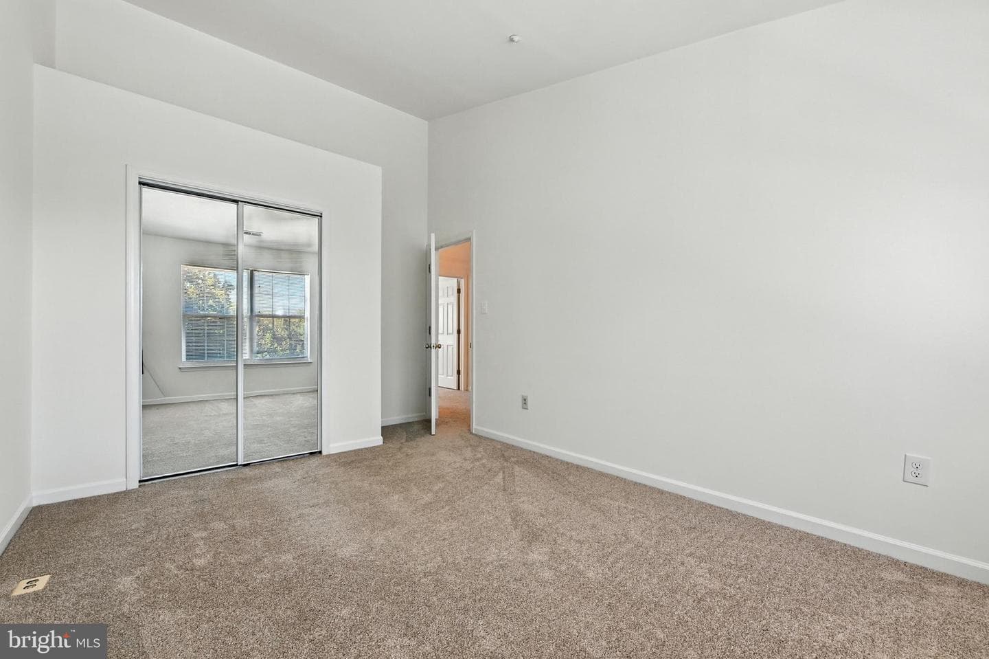 3855 Glebe Meadow Way photo 18
