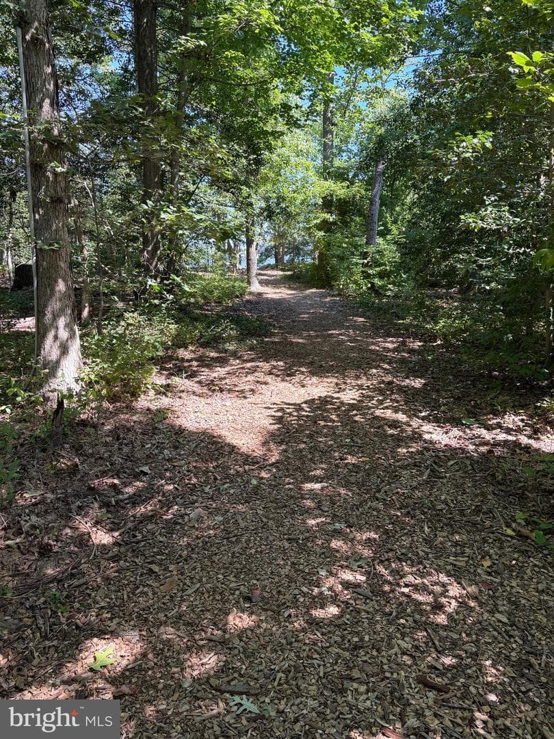 502 Wood Duck Lane photo 48
