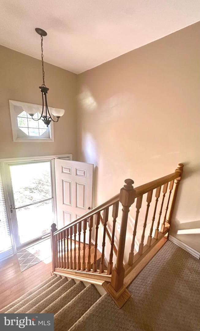 1158 Blue Bird Lane photo 5