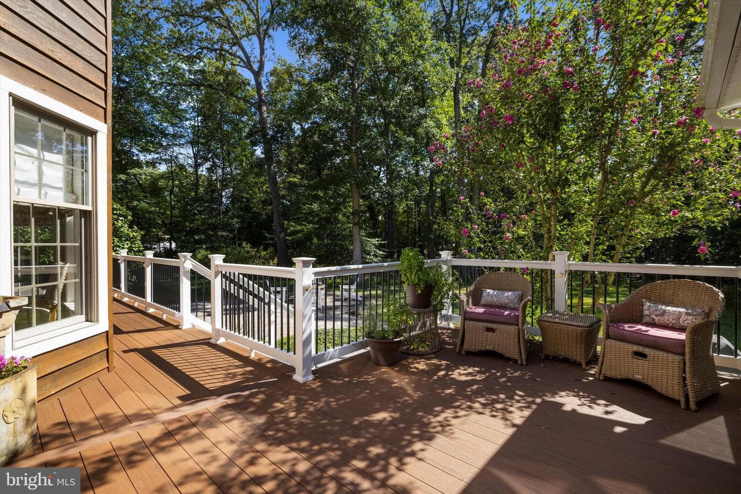 3471 Monitor Court photo 52