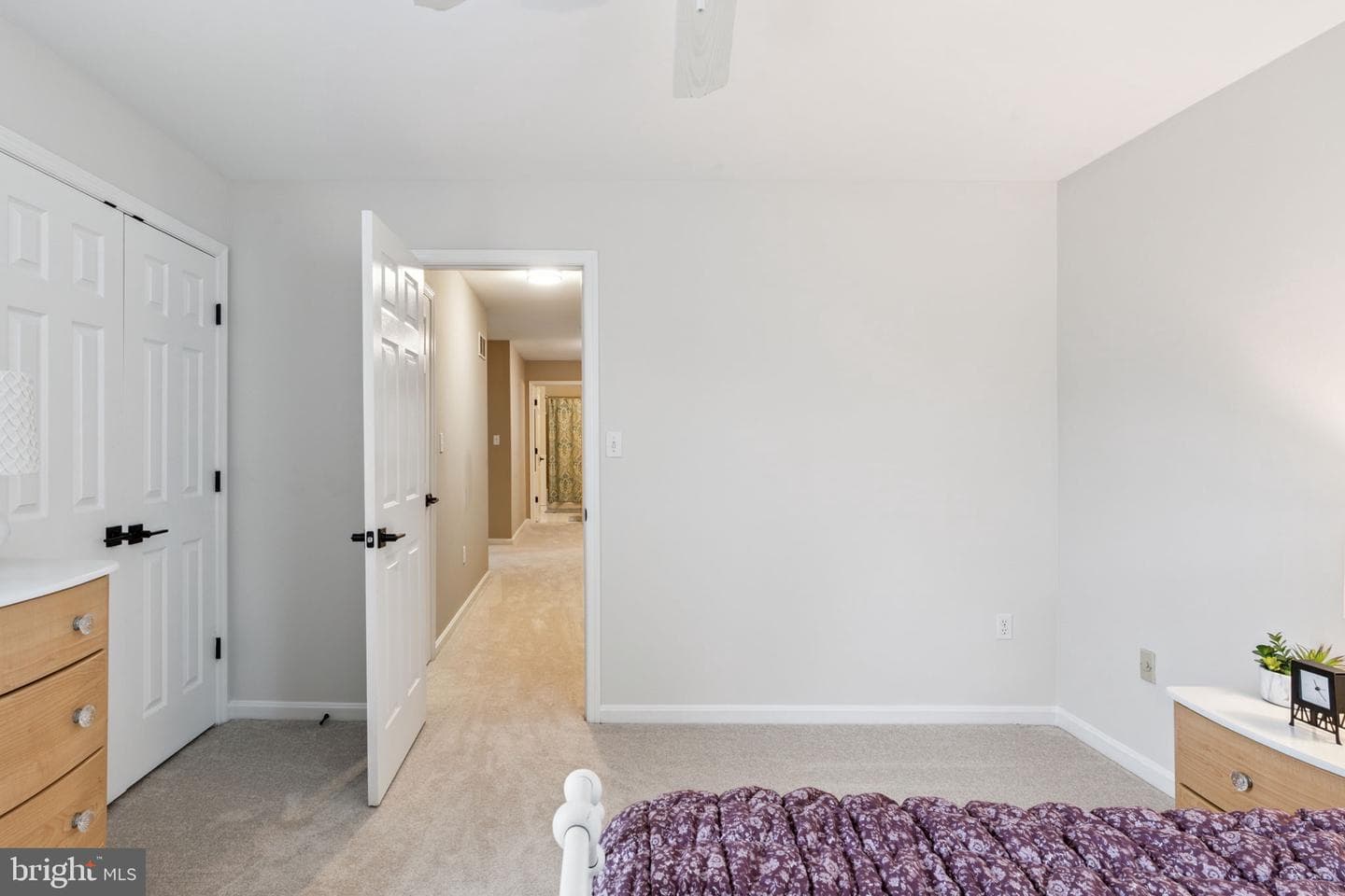 247 Kennedy Drive photo 37
