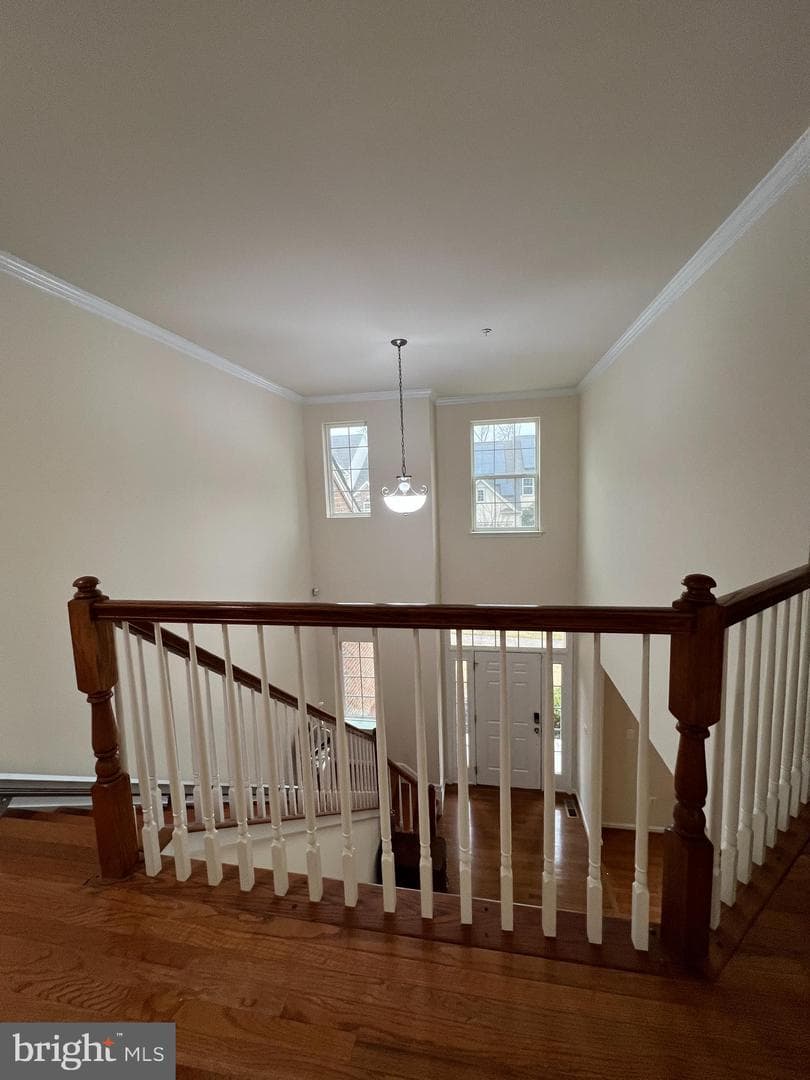 7817 Stonebriar Drive photo 23