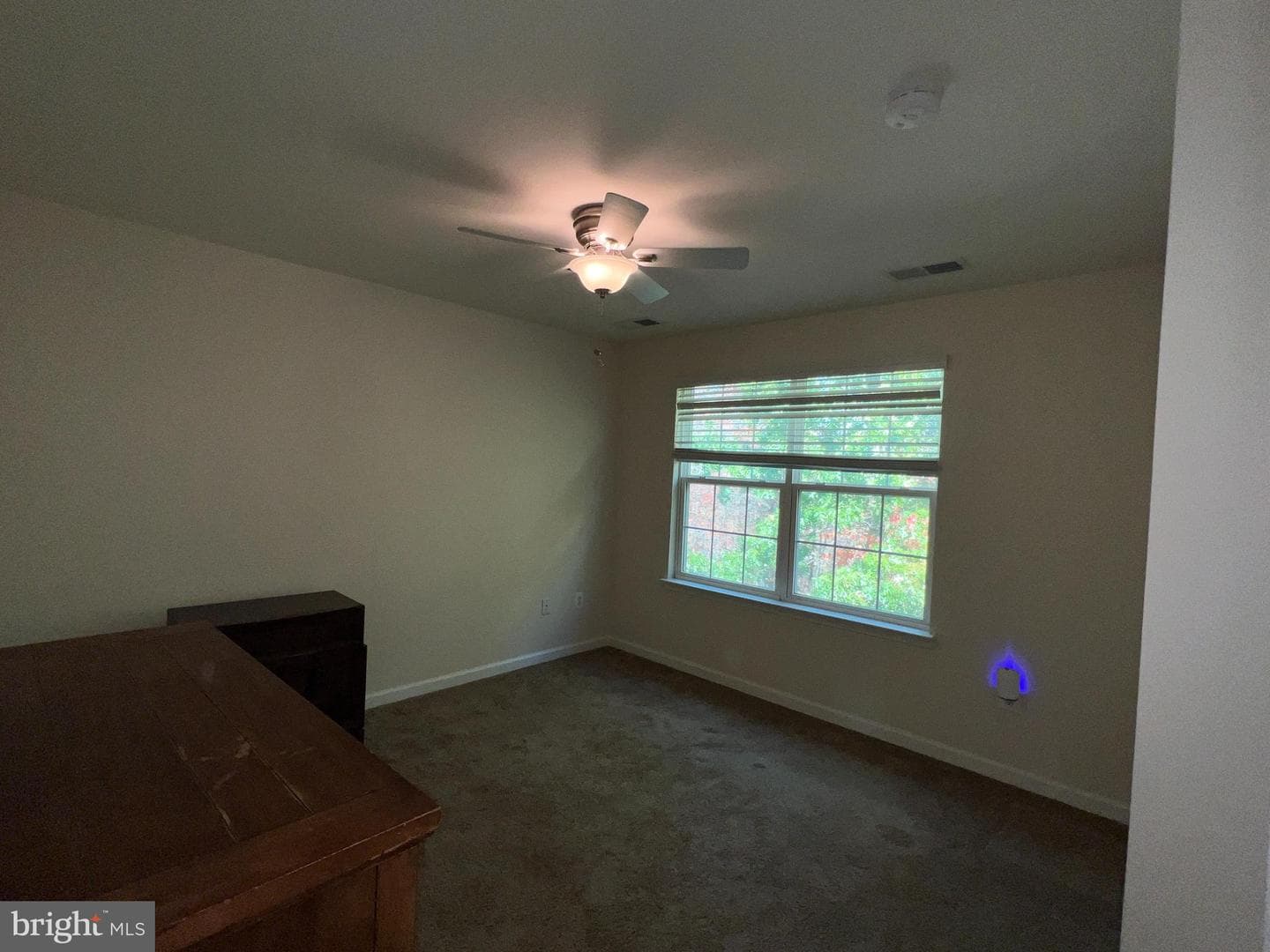 7817 Stonebriar Drive photo 56