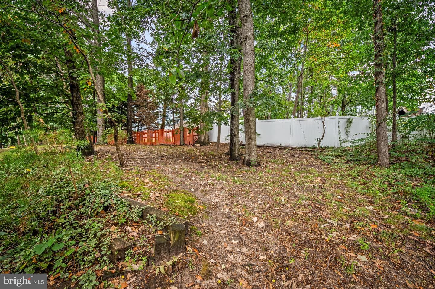 7963 Heather Mist Drive photo 33