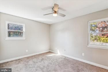 898 Brighton Place photo 17