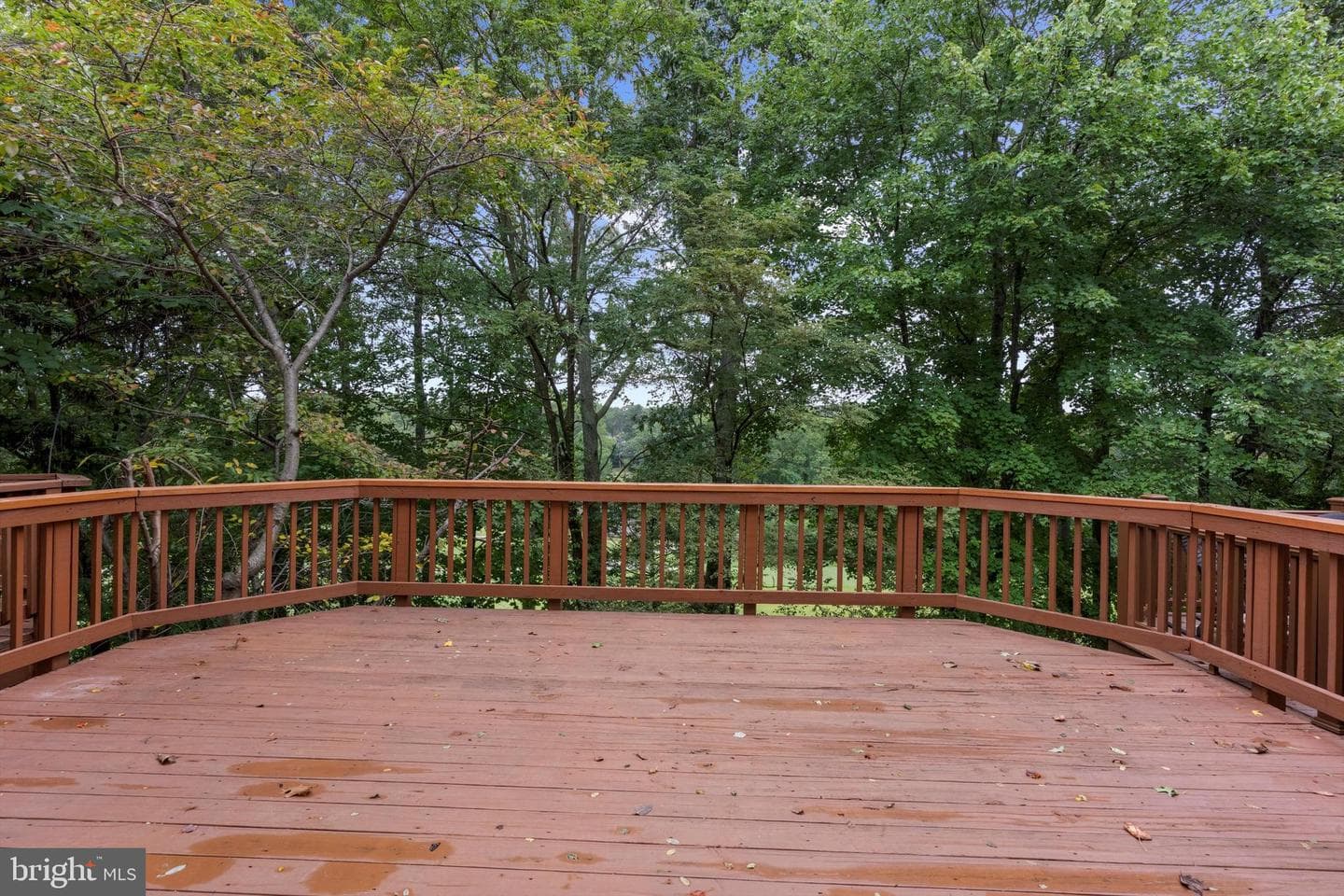 618 Andrew Hill Road photo 5