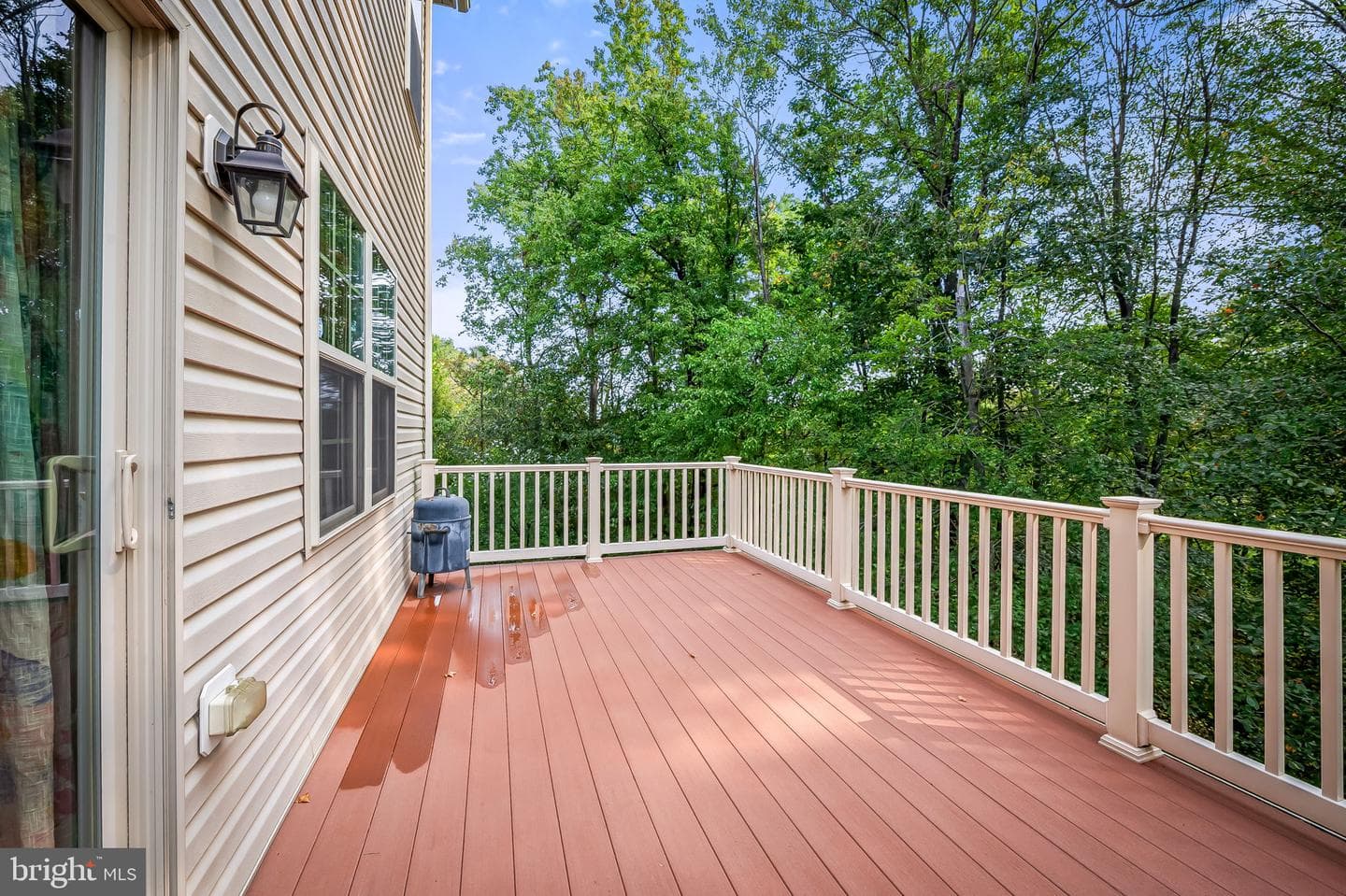 203 Mill Crossing Court photo 19