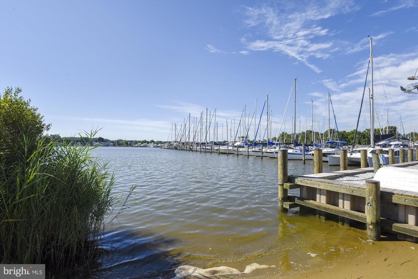 938a Williams Street photo 41