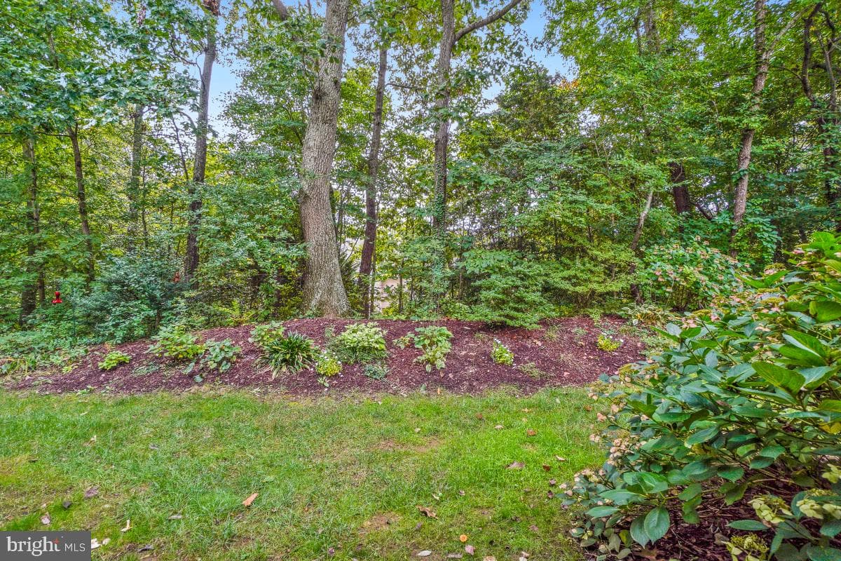 633 Andrew Hill Road photo 27