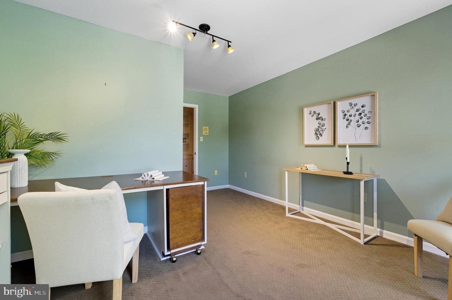 1007 Boom Court photo 39