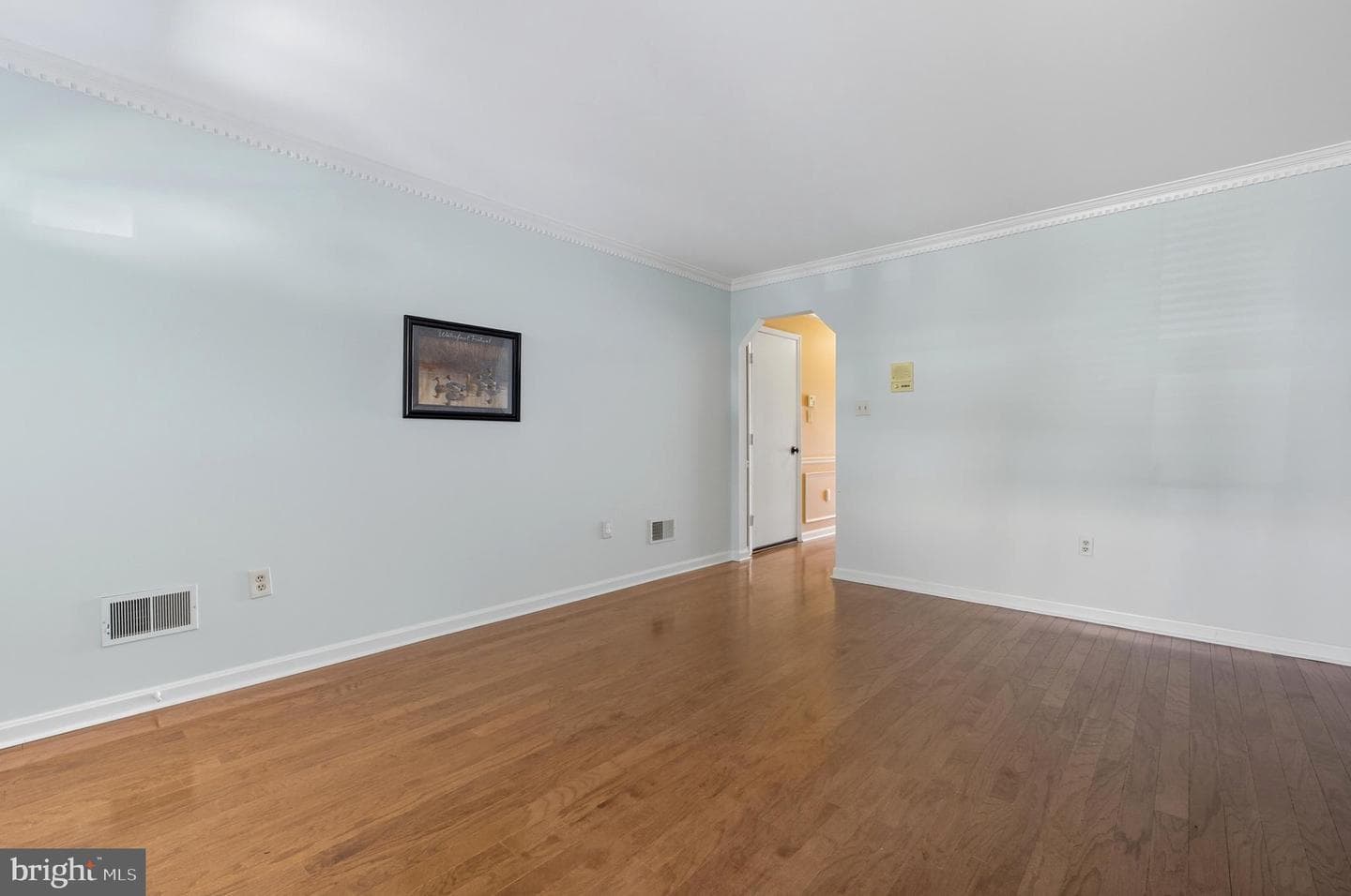 1007 Boom Court photo 8