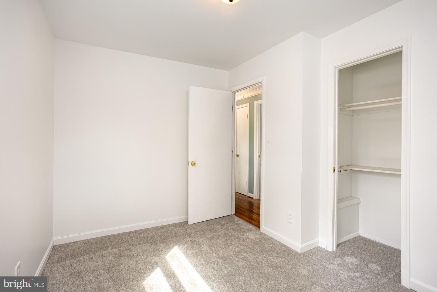 7851 Shellye Road photo 14