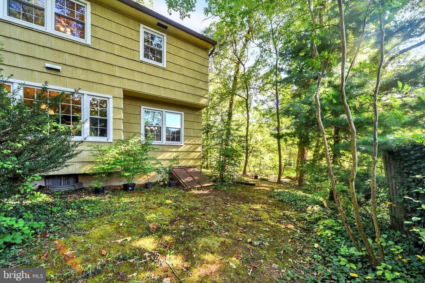 201 Oak Avenue photo 42