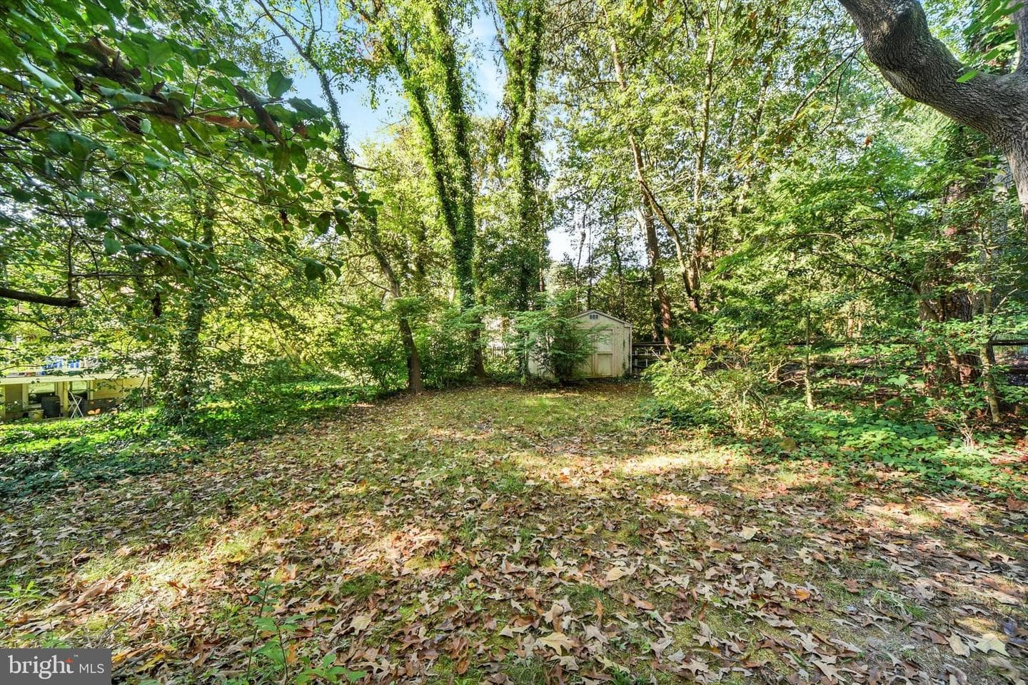 201 Oak Avenue photo 44