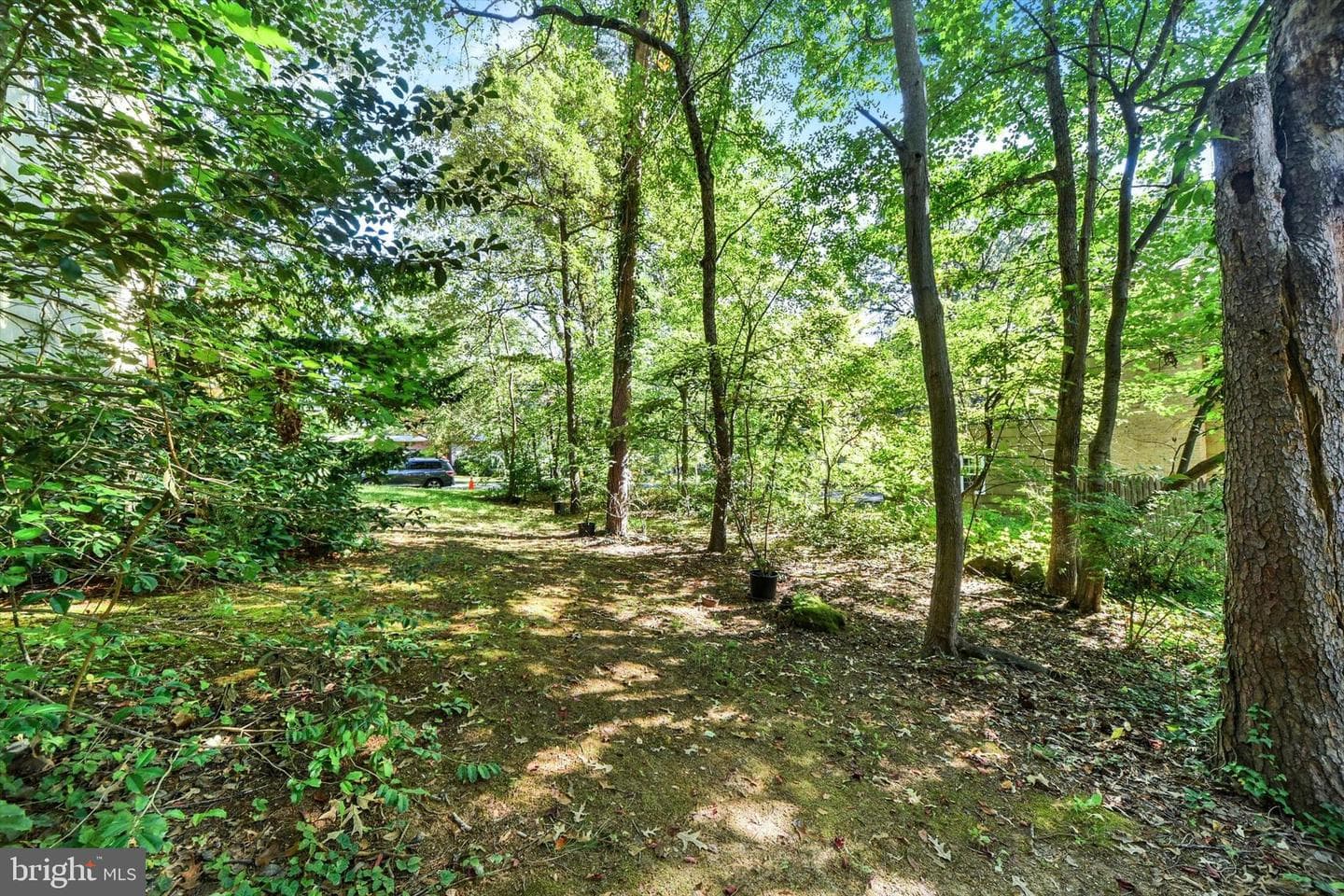 201 Oak Avenue photo 45