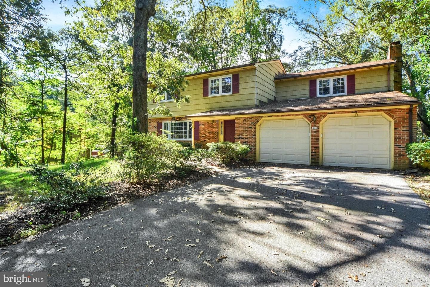 201 Oak Avenue photo 5