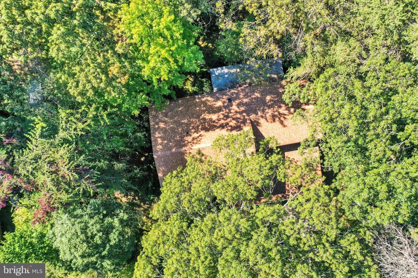 201 Oak Avenue photo 53