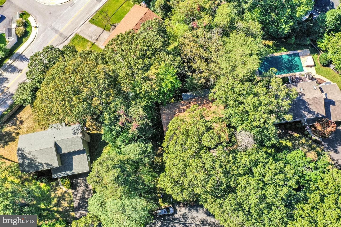201 Oak Avenue photo 58