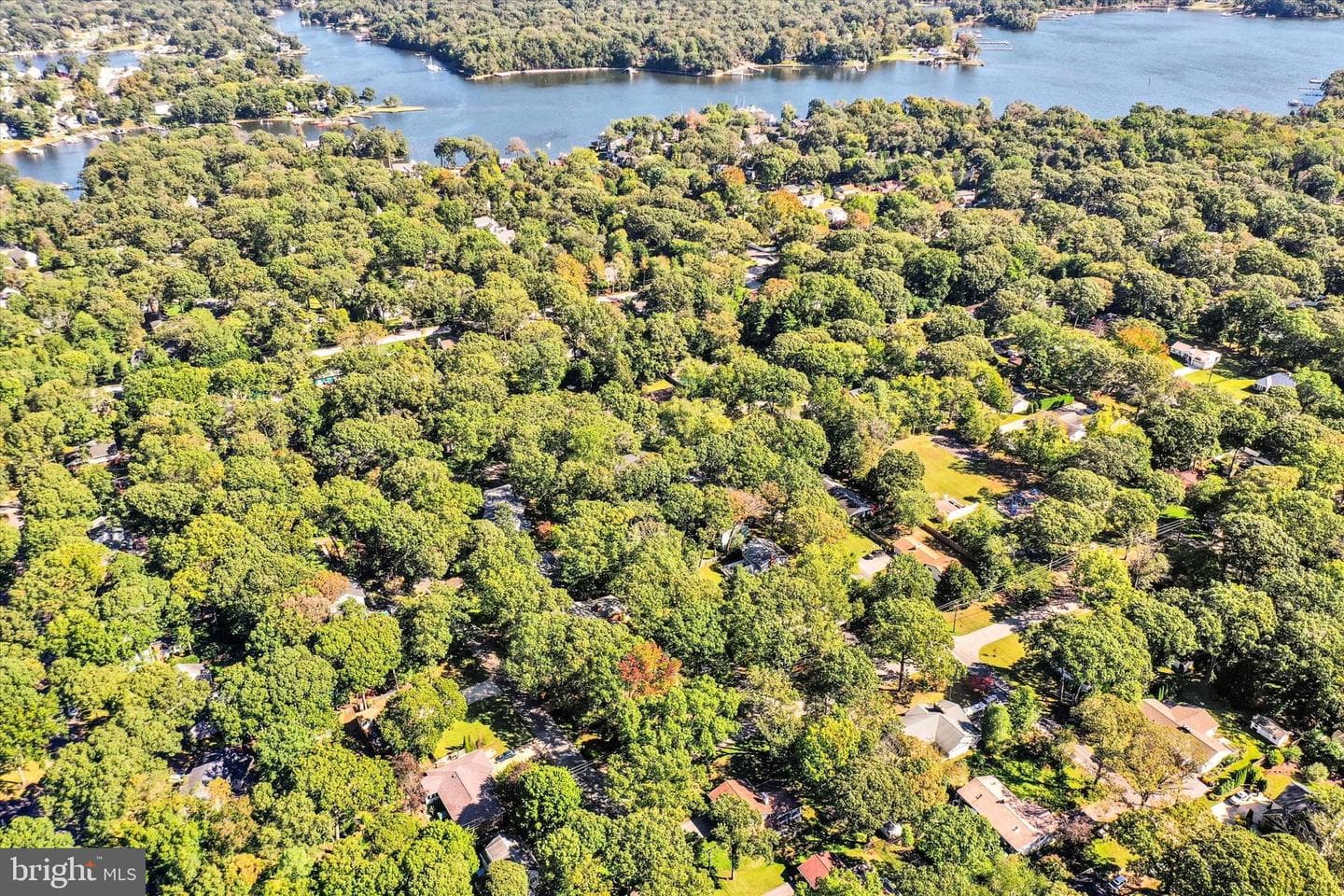 201 Oak Avenue photo 60