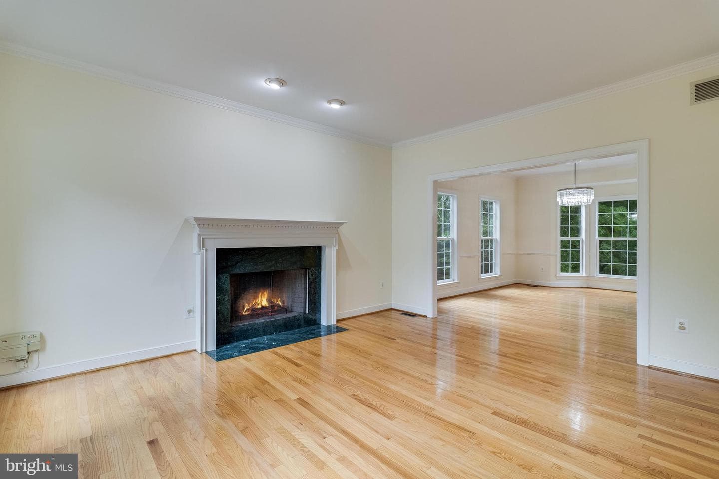 3509 Russell Thomas Lane photo 6