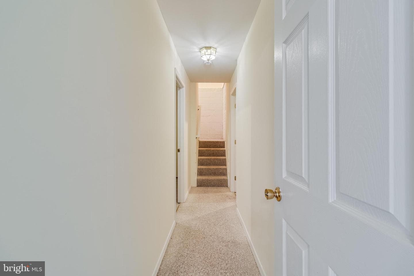 3509 Russell Thomas Lane photo 71